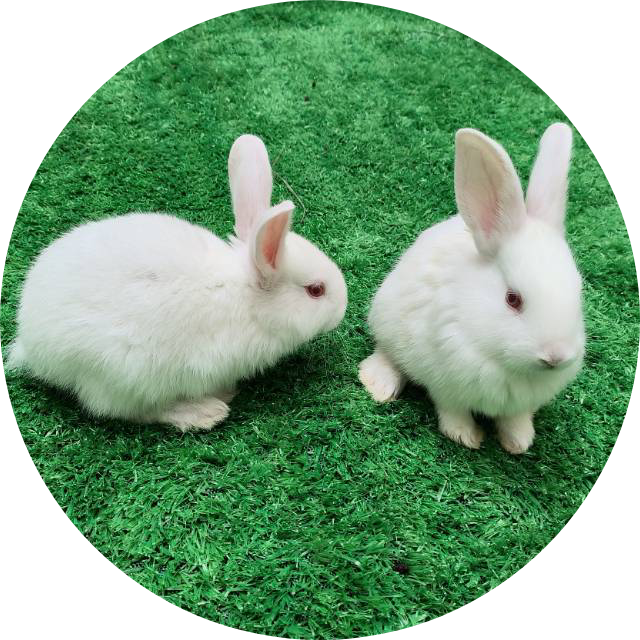 A旧货回收-家电维修