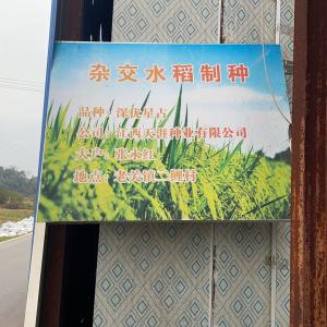 刘世林 - 门头照
