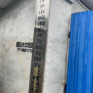 刘世林 - 门头照