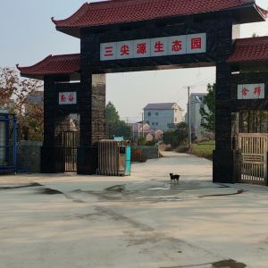 创升电子 - 门头照