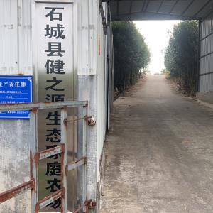 陈斌 - 门头照