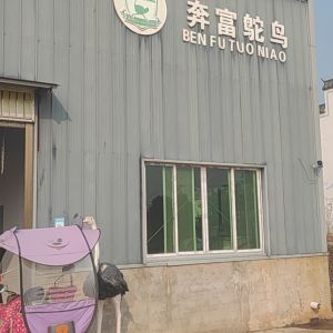 大力水手 - 门头照