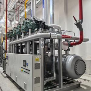 科尔曼环境 - 师傅自传案例