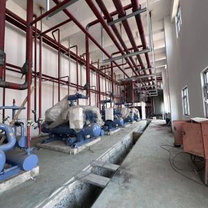 科尔曼环境 - 师傅自传案例