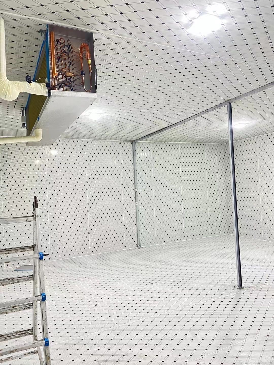 专业冷库定制维修服务案例