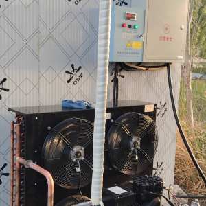 肃北冷库服务-王长瑞 服务案例