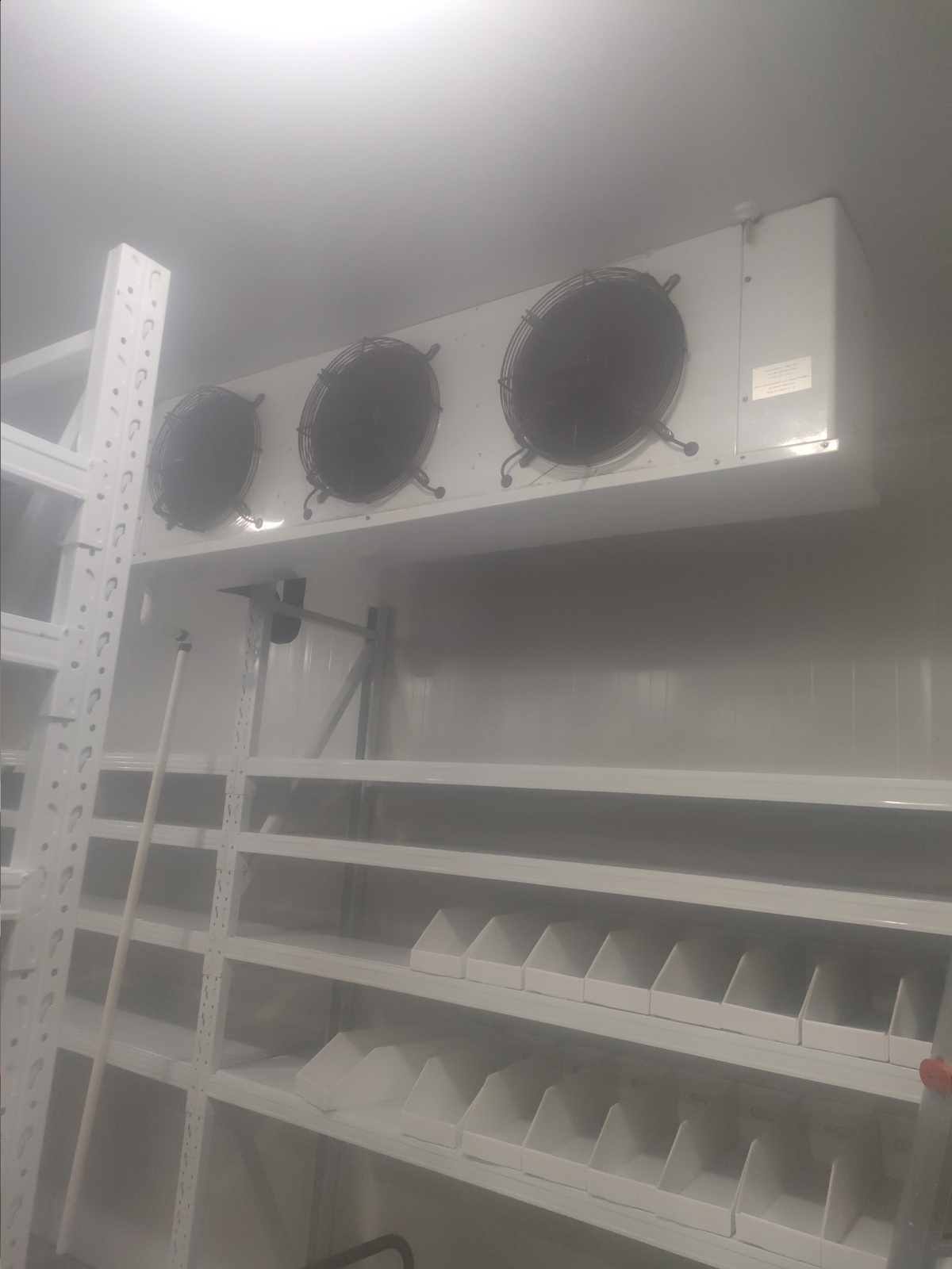 张运庆服务案例