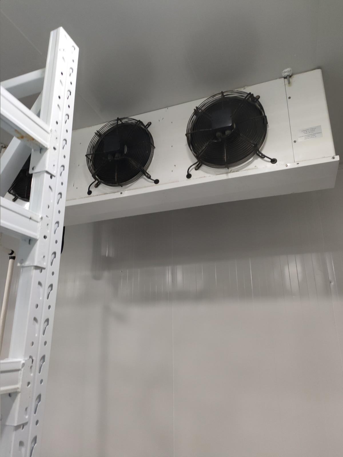 张运庆服务案例