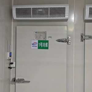 小陈 - 外观-玻璃门检查