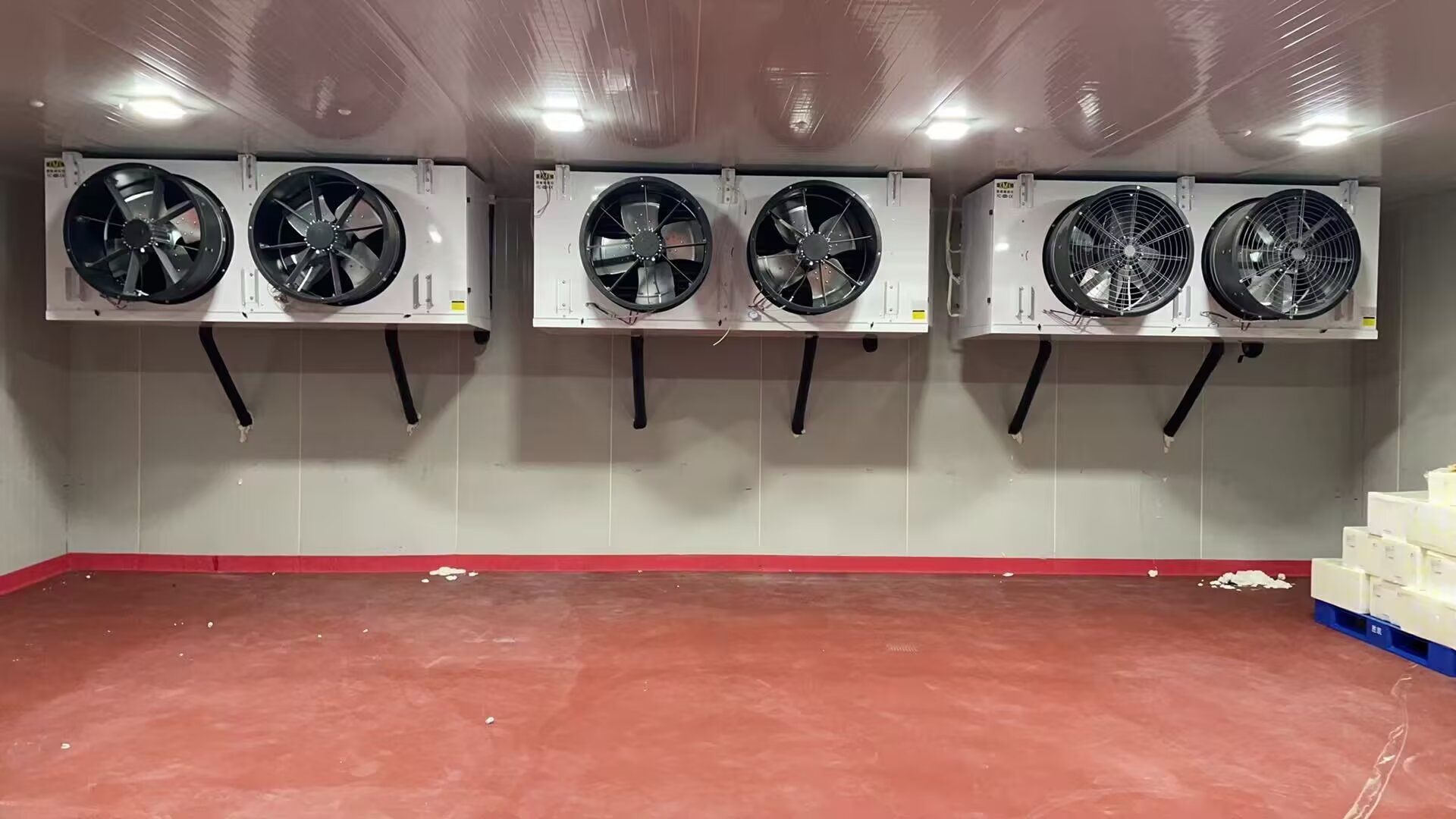 🇨🇳 冰丰制冷*冷库服务案例