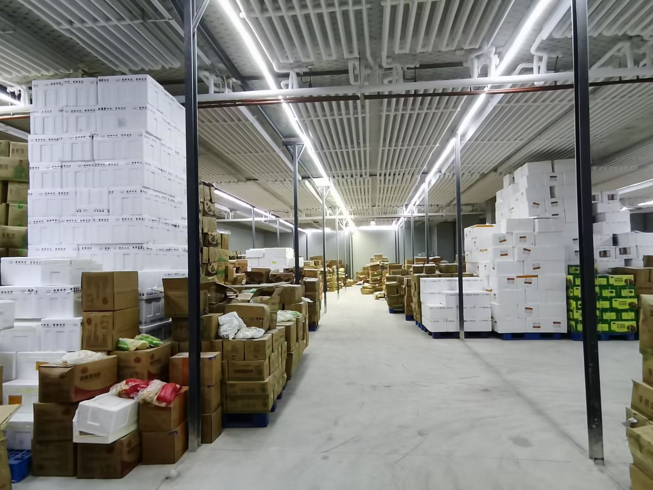 🇨🇳 冰丰制冷*冷库服务案例