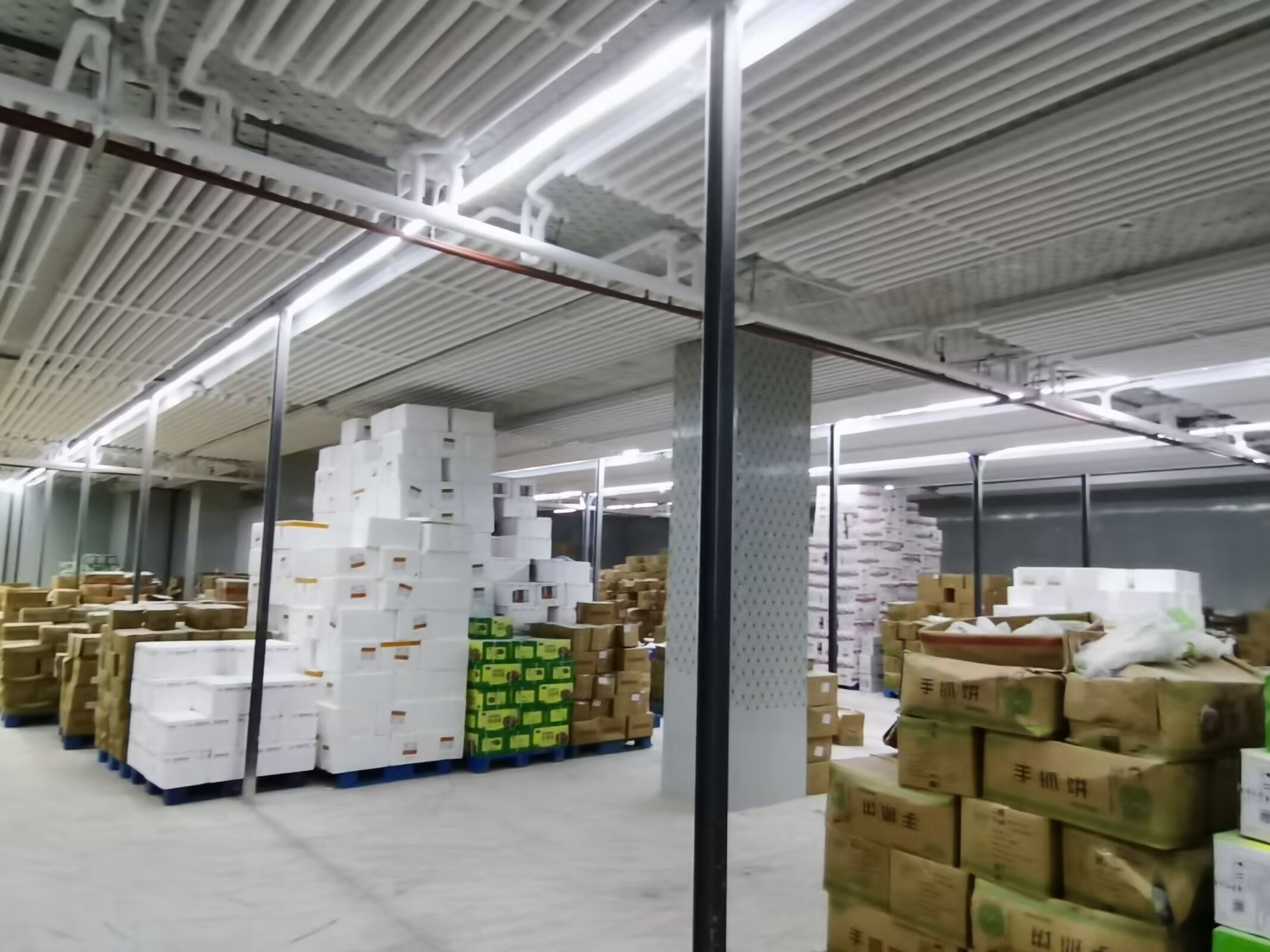 🇨🇳 冰丰制冷*冷库服务案例