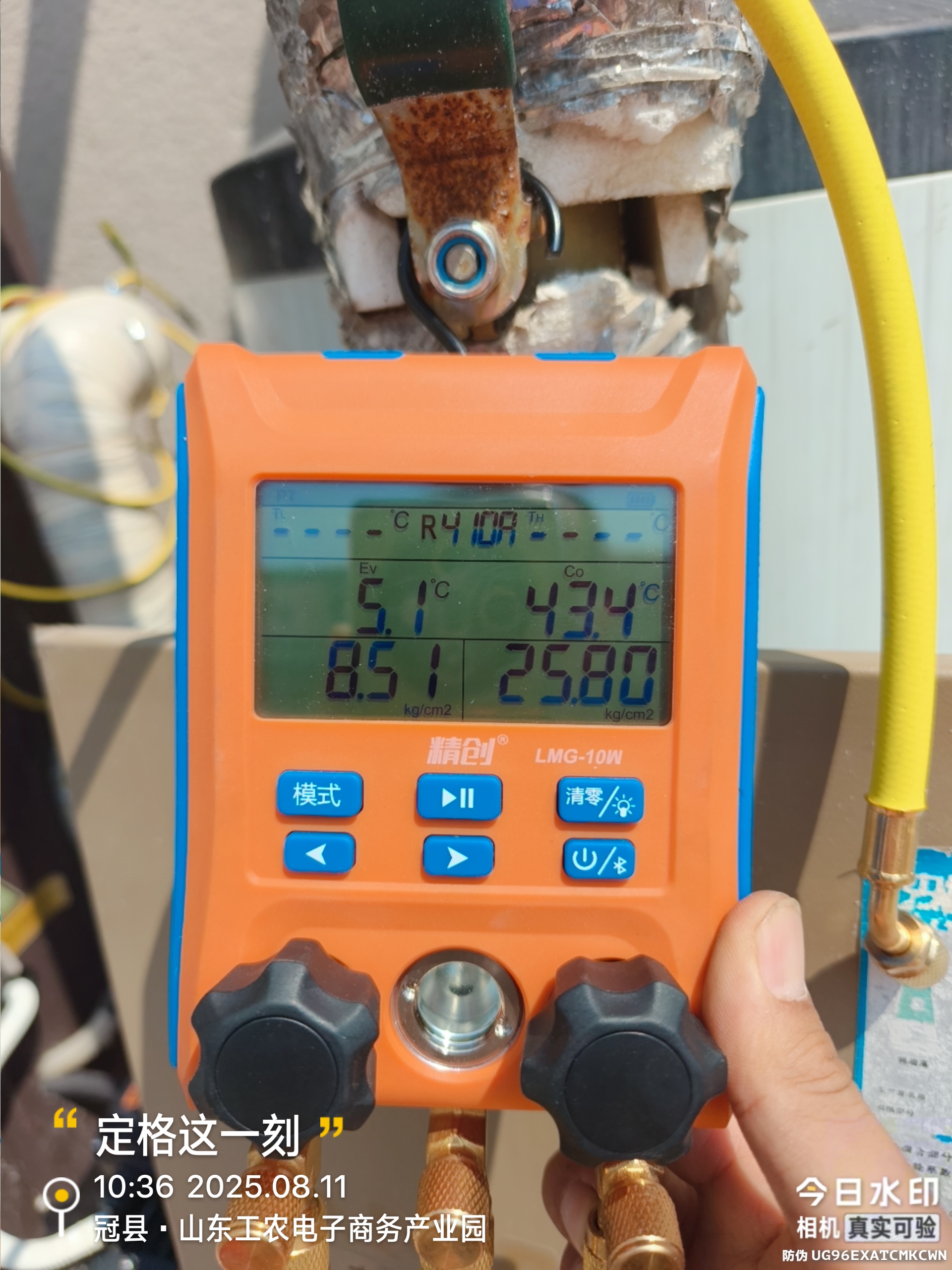 白伟龙服务案例