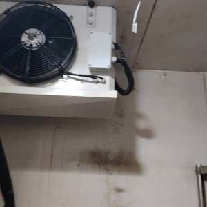 亭湖冷库服务-丁汝勇13182104968 服务案例