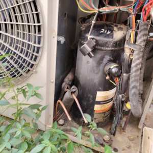 亭湖冷库服务-丁汝勇13182104968 服务案例