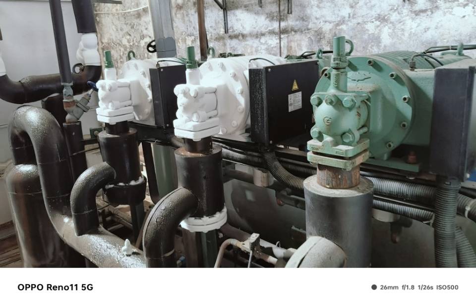 北雪冷库，广东(东莞)北雪制冷科技有限公司服务案例