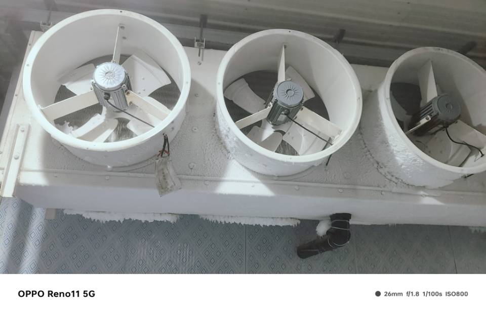 北雪冷库，广东(东莞)北雪制冷科技有限公司服务案例