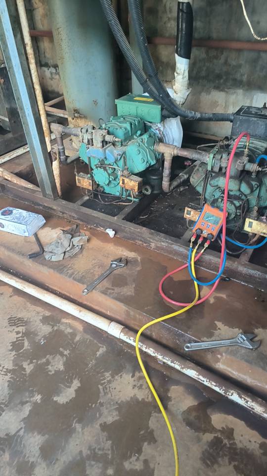 冷库安装维保服务案例