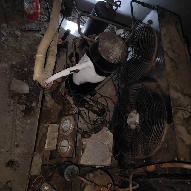 中宏冷业服务案例