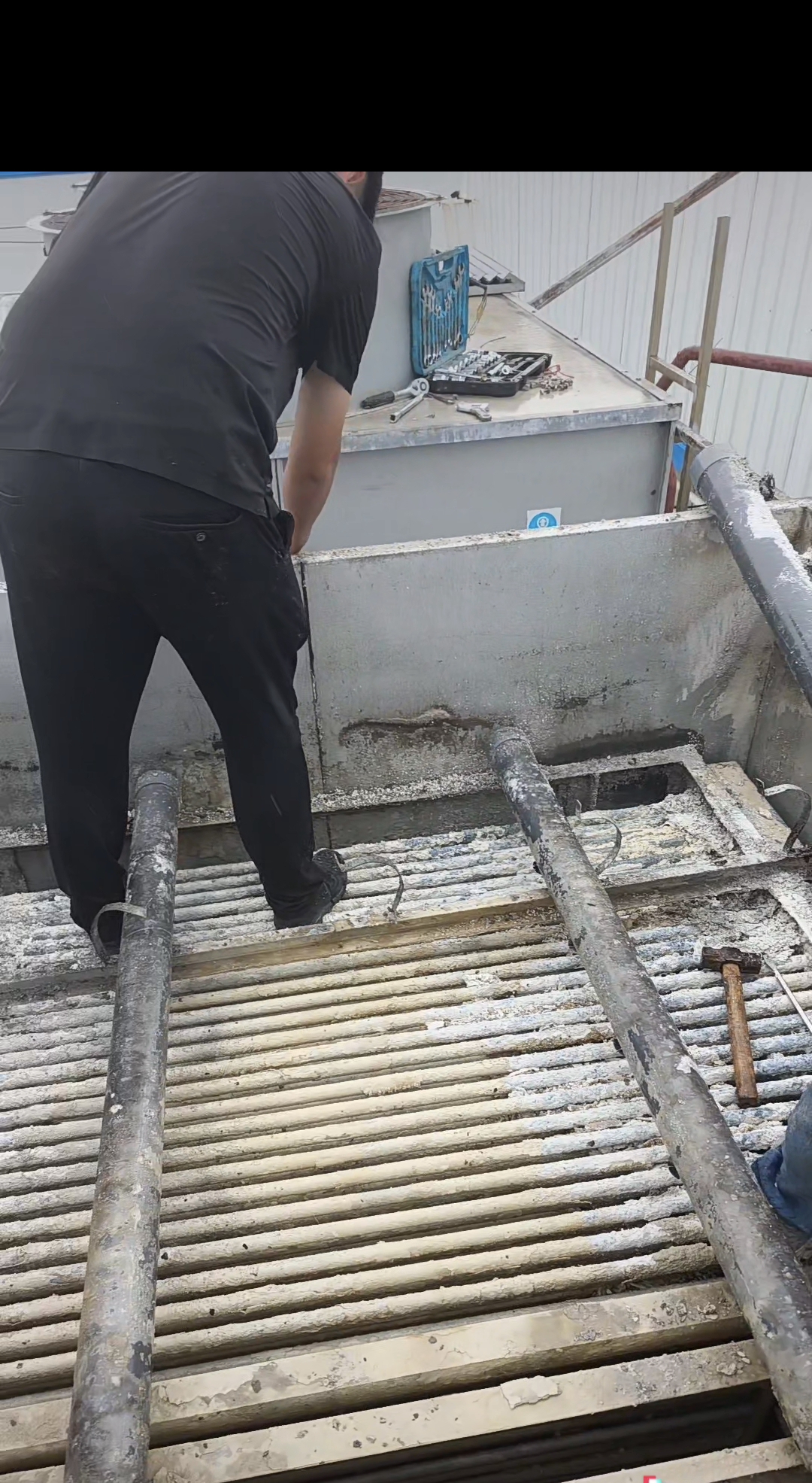 白伟龙服务案例