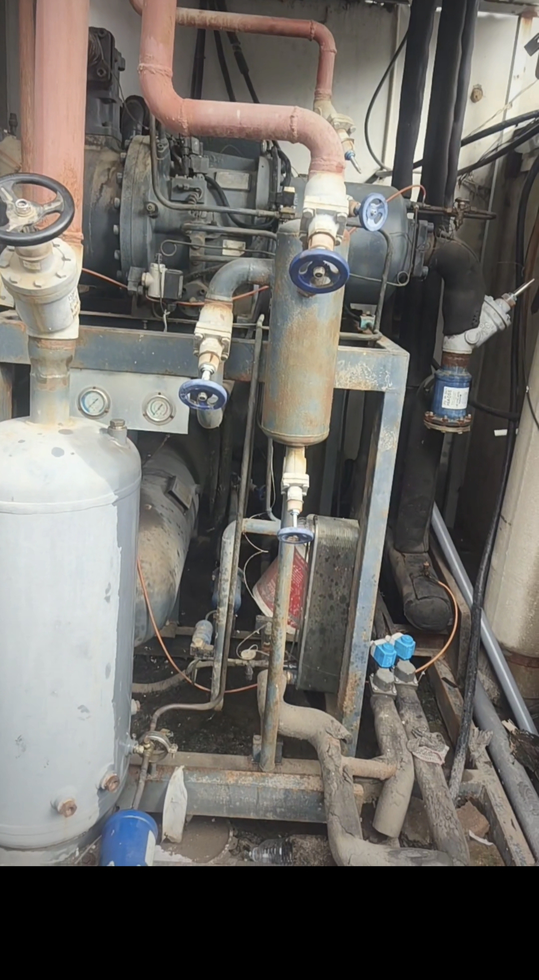 白伟龙服务案例