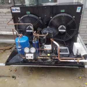 济南高冷库服务-张仁和 服务案例