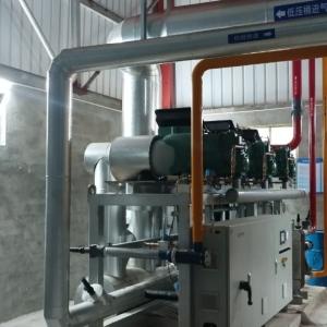 崇明冷库服务-山东神舟制冷设备有限公司 服务案例