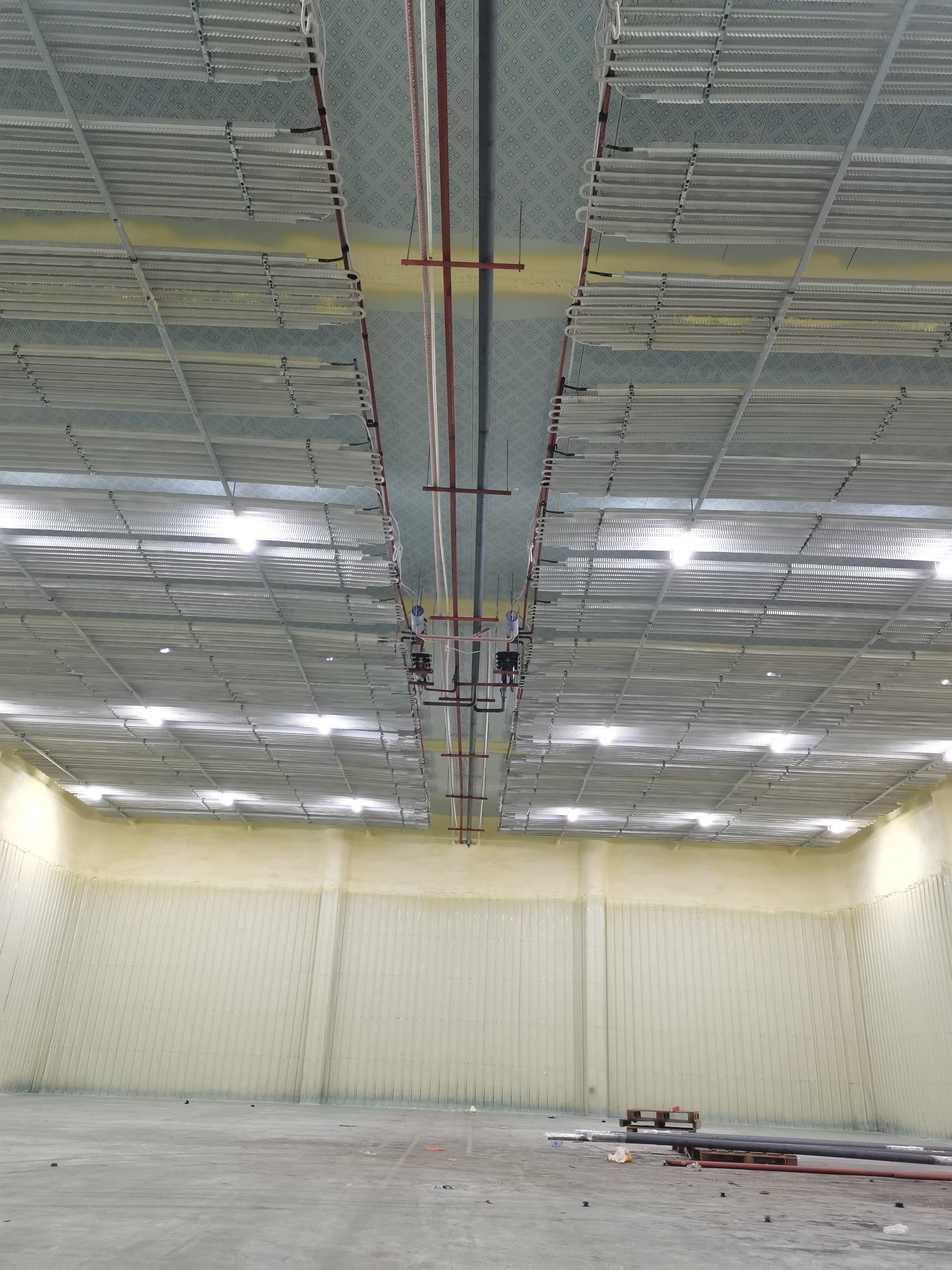 🇨🇳 冰丰制冷*冷库服务案例