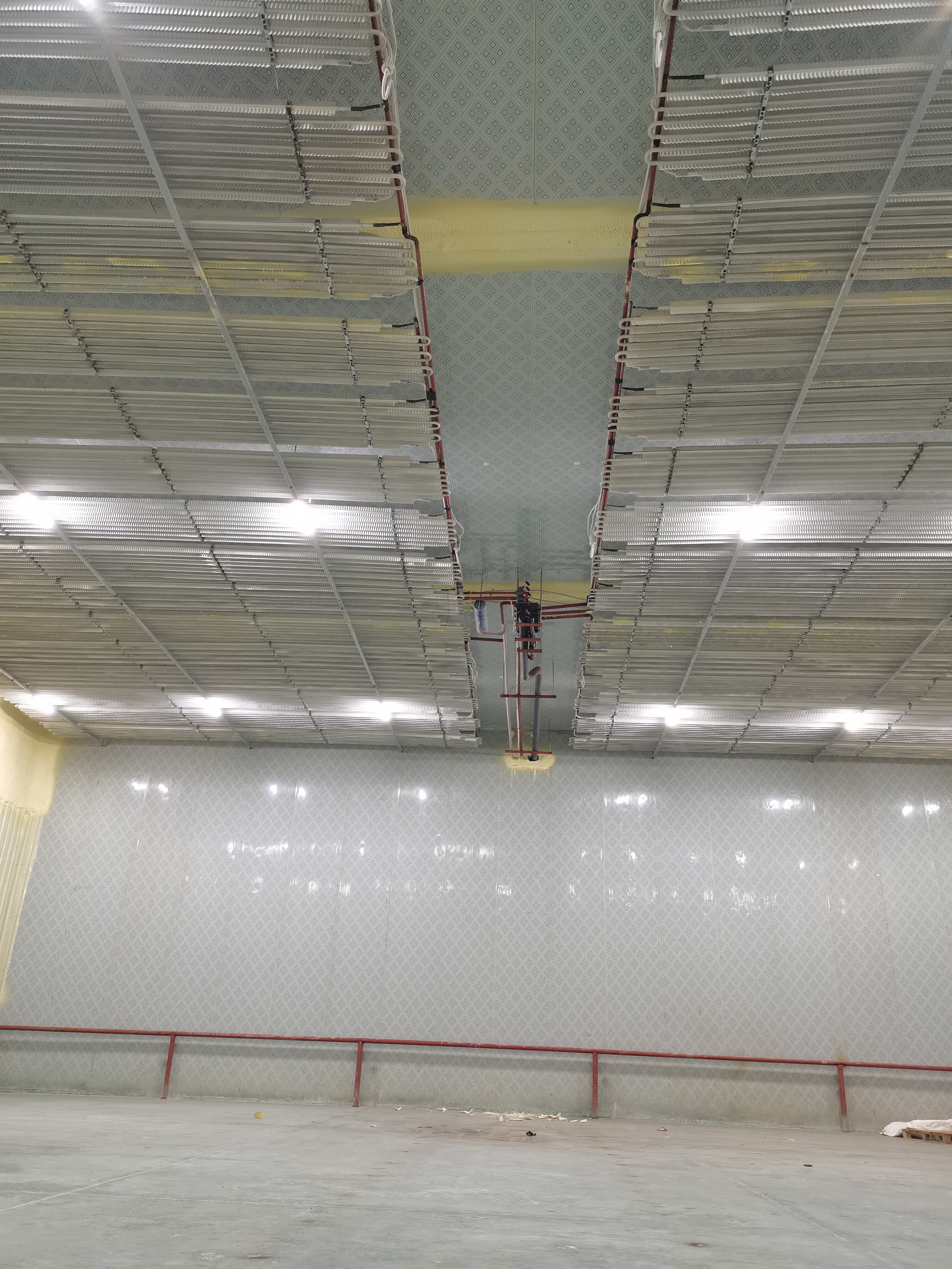 🇨🇳 冰丰制冷*冷库服务案例