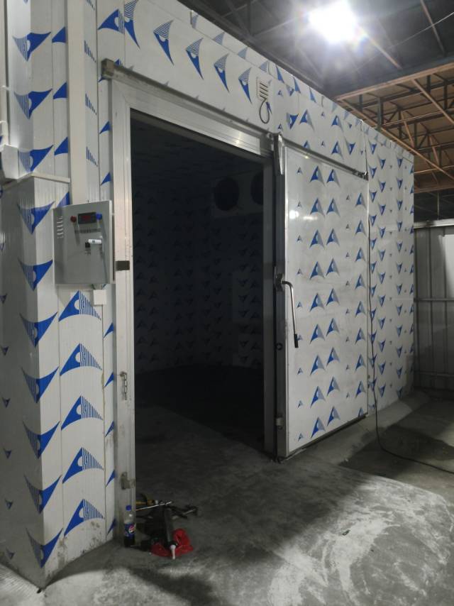 各种品牌服务案例