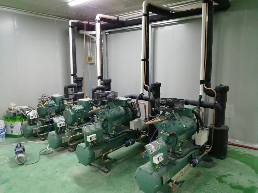 福州冷库安装维修服务案例