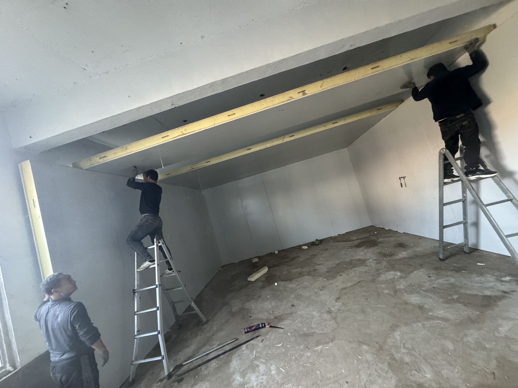 赵志军服务案例