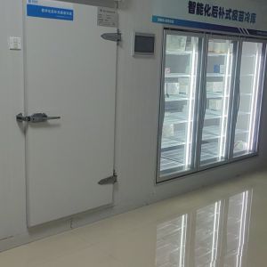 南陵冷库服务-外观-冷库整体照片