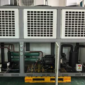 郫都冷库服务-117鑫源 服务案例