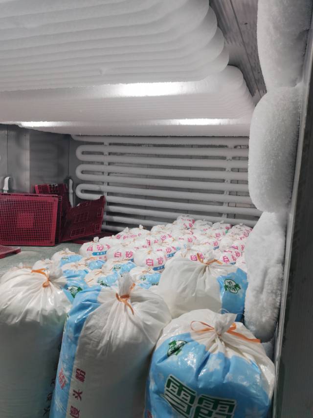 专注冷库安装  维修   制冰机  真空冻干机 速冻服务案例