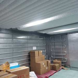 专注冷库安装  维修   制冰机  真空冻干机 速冻 - 项目案例