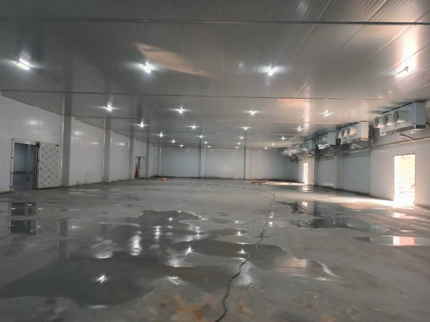 黄先生服务案例