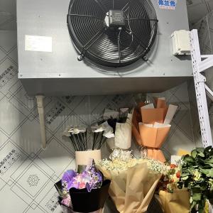 简阳冷库服务-天蜀冷库 服务案例