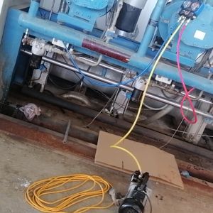 延边冷库服务-汇鑫制冷设备 服务案例