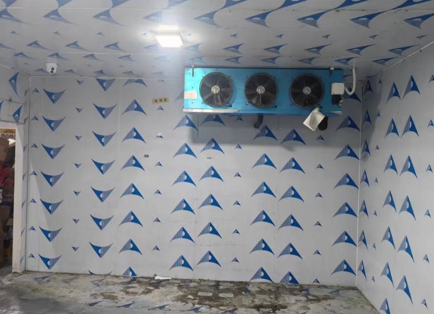 13068503358服务案例