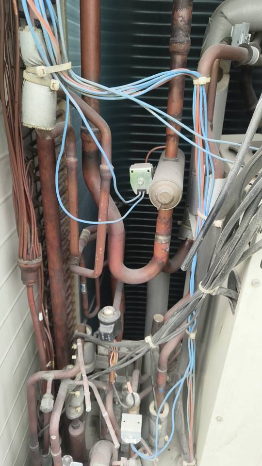 一花一叶一菩提服务案例