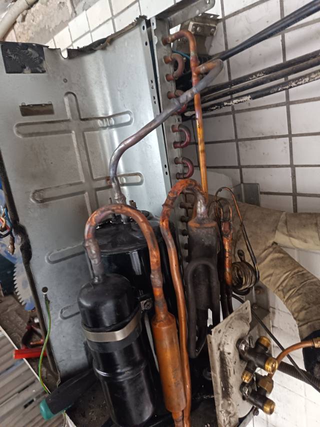 王闻贵服务案例