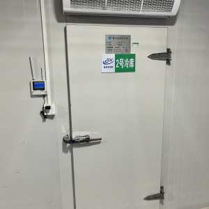 江门冷库服务-疫苗巡检库体照片
