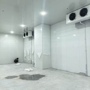 冰顺制冷 - 项目案例