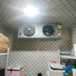 磐安冷库服务-冰点冷库设计1373241944 服务案例