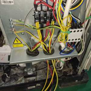 儋州冷库服务-羊克算 服务案例
