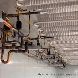 耿万华 - 项目案例