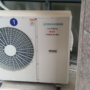 淳安冷库服务-外机组照片
