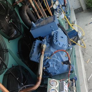 崇明冷库服务-冰顺制冷 服务案例