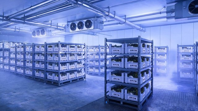 葡萄冷库维修规范全攻略：老师傅的实战经验总结